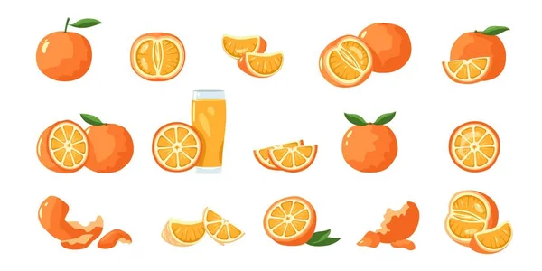Orange Fruit Tropical Tangerine Clementine Slices Healthy Whole Mandarin Tangerine — Stock Vector