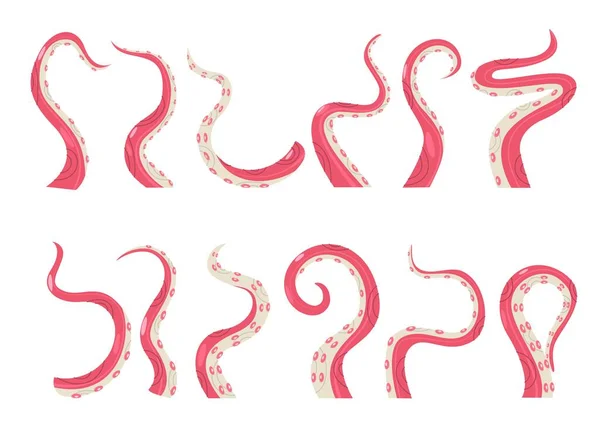 章鱼触须集合 滑稽的卡通人物头像以不同的姿势 五彩斑斓的图画 章鱼触角的矢量海洋生物图形集 — 图库矢量图片