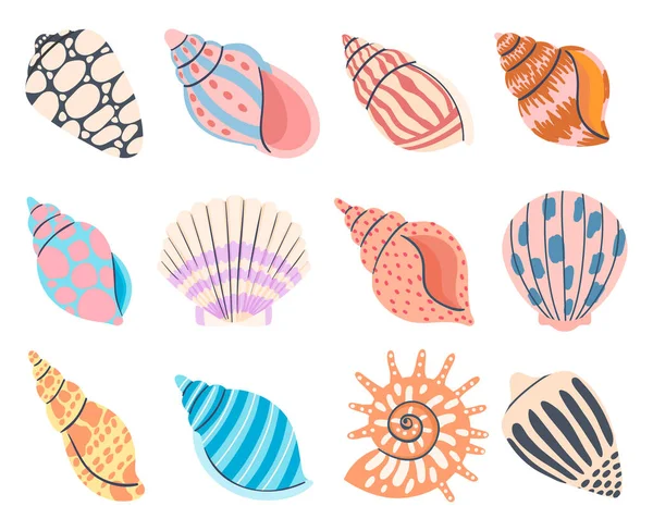 Conchas Subaquáticas Coloridas Molusco Caracol Marinho Vetor Concha Oceânica Caracol —  Vetores de Stock