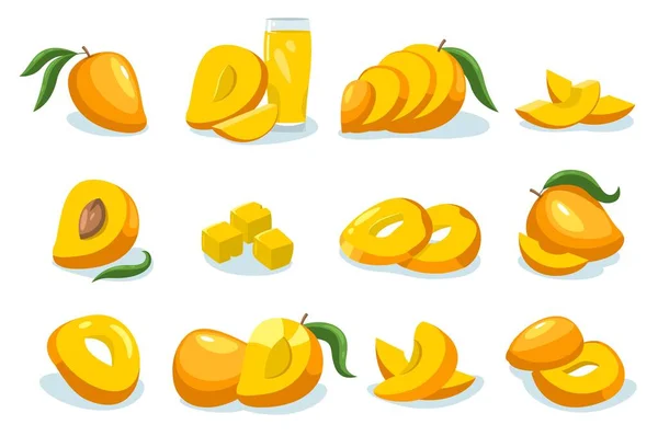 芒果系列卡通全熟果热带甜片片 有机芒果饮食健康营养 素食健康食品理念 一套孤立的芒果成熟热带图解 — 图库矢量图片