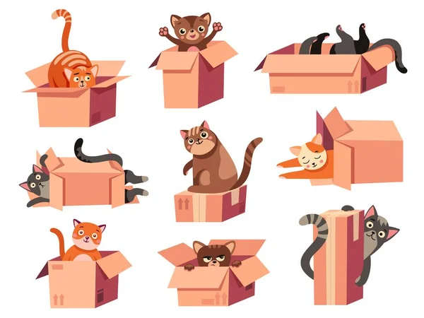 Γάτα Κρύβεται Στο Κουτί Κινούμενα Σχέδια Χαριτωμένα Κατοικίδια Δέρματα Ζώων — Διανυσματικό Αρχείο