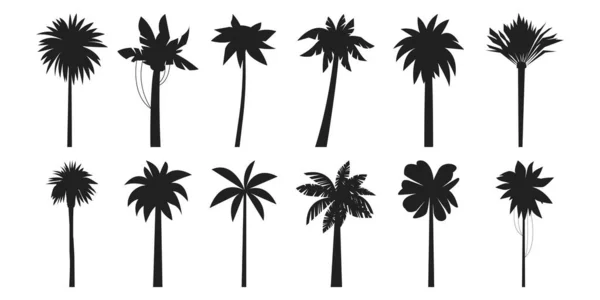 Черные Пальмы Экзотические Летние Растения Морского Побережья Кокосовое Дерево Черная — стоковый вектор