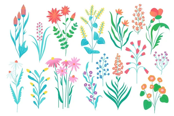 Коллекция Полевых Цветов Летняя Осенняя Флора Мультяшный Цветочный Сад Абстрактное — стоковый вектор