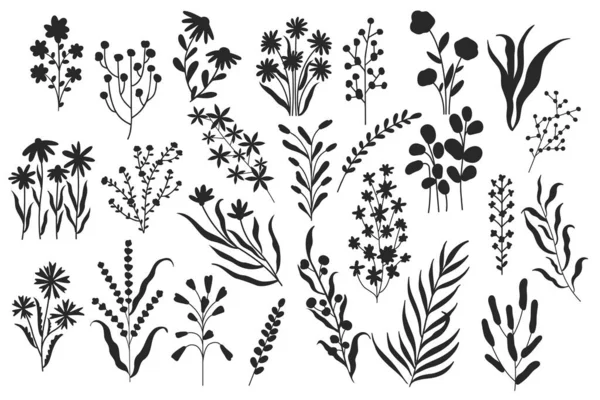 Wild Flowers Silhouette Minimalistic Floral Botanical Elements Nature Blooming Botany — Stock Vector