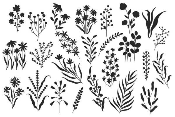Wild flowers silhouette. Minimalistic floral botanical elements, nature blooming botany flowers monochrome brush drawings. Vector isolated set. Natural herbs and field plants with blossom