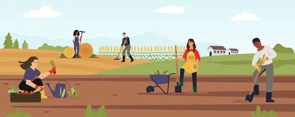 Les Travailleurs Agricoles Travaillent Sur Paysage Agricole Collectent Les Récoltes — Image vectorielle
