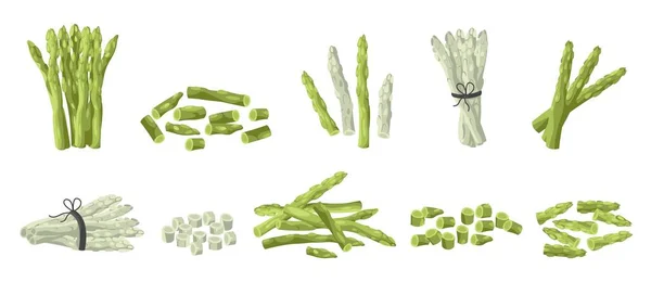 Entier Couper Les Asperges Bâtonnets Lances Asperges Biologiques Nourriture Agricole — Image vectorielle