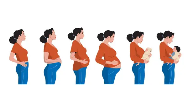 Pregnancy Stages Timeline Pregnancy Woman Embryo Newborn Baby Cartoon Prenatal — Stock Vector