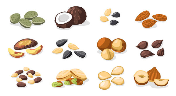 Nuts and seeds. Healthy snack food, colorful roasted nuts and dried seeds, healthy vegetarian food, nut and seed nutrition concept. Vector set. Delicious pistachio, hazelnut and coconut