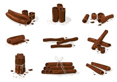 Tarçın çubukları. Organik tatlı baharat kabuğu, tarçınlı kuru tatlı, organik bitkisel baharat. Vektör daire koleksiyonu. İzole edilmiş yemek pişirmek ve pişirmek için gerçekçi malzemeler.