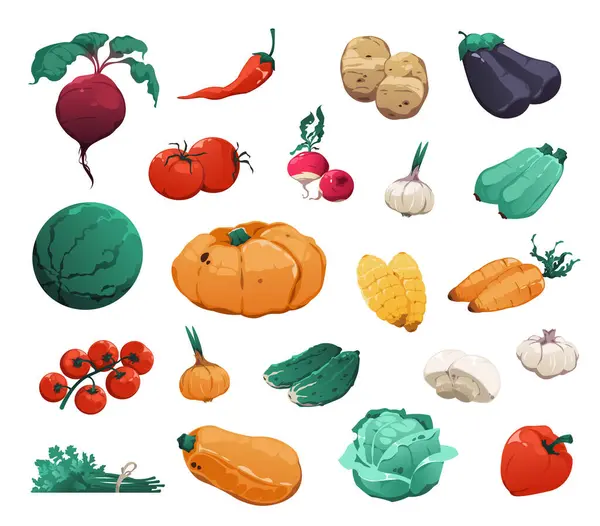 Cartoon Λαχανικά Συλλογή Μελιτζάνα Πιπέρι Και Καρότο Διάνυσμα Κολοκύθας Και Εικονογράφηση Αρχείου