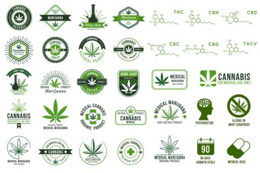 Tıbbi esrar amblemleri, marihuana yaprağı etiketleri, haşhaş üreten logo vektörü prim şablonları yeşil kenevir büyük seti.