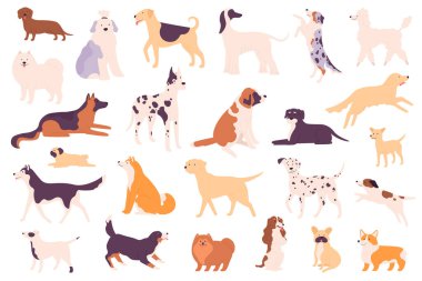 Basit köpekler. Shiba Inu, Poodle ve Bulldog, Shih Tzu ve Chow Chow Chow, Dachshund ve Wiener, Alman çoban köpeği ve Labrador köpek yavrusu yavruları da dahil olmak üzere farklı türler..