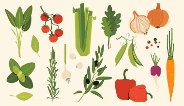 İtalyan sebzeleri. Çizgi film malzemeleri, el yapımı salata karışımı, vejetaryen çiftlik mutfağı. Vektör izole edildi. Soğan, bezelye ve dolmalık biber, domates ve havuç, sarımsak ve pancar, zeytin.