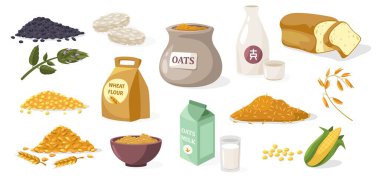 Tahıl taneleri. Çizgi filmlerdeki mısır unu pirinç arpası çavdar yulafı kahvaltıda organik gıda tarım ve tarım konsepti. Vektör seti.