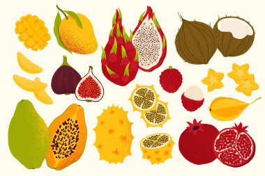 Dilimlenmiş meyve. Çizgi film, egzotik olgun meyve parçaları, renkli tropikal tatlı ve ekşi meyve ve turunçgiller düz stil. Vektör izole koleksiyonu.