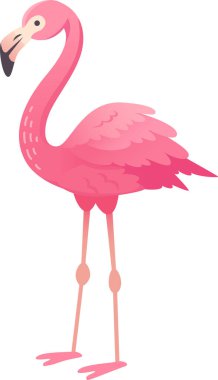 Pembe flamingo uzun bacaklarının üzerinde duruyor, pembe tüyleri düzgünce dizilmiş ve uzun boynu zarif bir şekle bürünmüş.