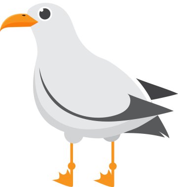 Canlı turuncu perdeli ayakların üzerinde zarif duran büyüleyici martı çizgi filmi. El değmemiş beyaz vücudunu gösteriyor. Parlak gri kanatlar. Ve turuncu gagalı. Vahşi yaşam için mükemmel. Doğa