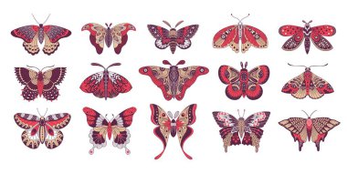 Mistik boho kelebekleri. Dekoratif renkli kanatlı böceklerin soyut dövmesi, yaratıcı astroloji kelebek logosu tasarımı. Vektör izole edildi.