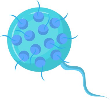 Chlamydia trakomatis bakterisi, bakterilerin üreme biçimi olan ve cinsel yolla bulaşan enfeksiyonlara yol açan ilkel vücutları ve retikülasyon organlarını gösterir.