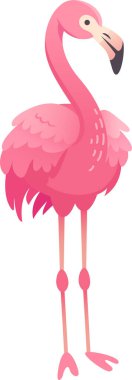 Pembe bir flamingonun karikatür çizimi görkemli bir şekilde duruyor, canlı tüylerini ve ince bacaklarını gösteriyor..
