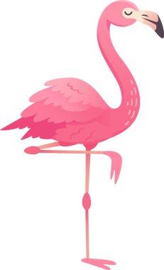 Tek bacaklı pembe tüylü flamingo çizgi filmi, beyaz arka planda izole edilmiş..
