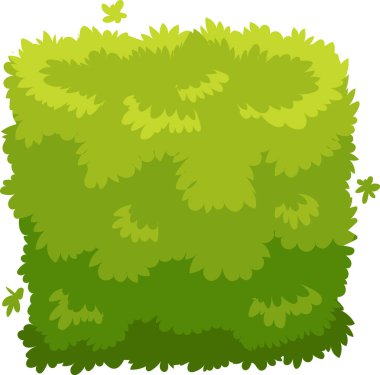 Bereketli yeşil çalı bahçelere, parklara ve peyzaj projelerine, mahremiyet, görsel cazibe ve misafirperver bir atmosfere biraz renk katar.