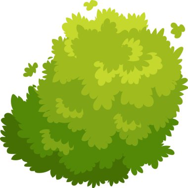 Düşen yapraklarla yemyeşil çalı, doğa temalı tasarımlar için mükemmel, temiz beyaz bir arkaplan karşısında canlı ve doğal bir sahne yaratır.