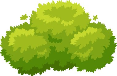 Yeşiller yemyeşil, birden fazla yaprağı var. Temiz beyaz arka planda yoğun ve canlı bir yeşillik oluşturuyor. Bu da doğal bir güzellik ve büyüme hissi veriyor.