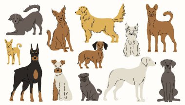 Köpek yetiştirir. Şirin köpek yavruları, komik yassı köpekler farklı cinsler ve renkler, sevimli hayvan arkadaşlık konsepti. Vektör izole edildi.