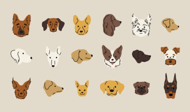 Çizgi film köpek kafaları. Komik köpek suratlı ikonlar, sevimli evcil hayvanlar farklı cinsler, komik köpek suratlı maskotlar. Vektör izole koleksiyonu.