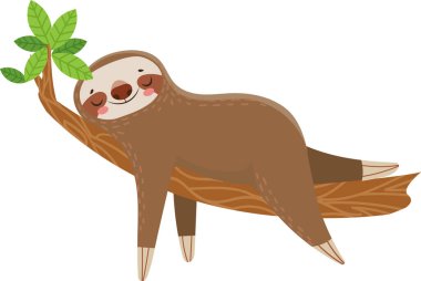 Bir ağaç dalında uyuyan mutlu bir tembel hayvanın çizgi film çizimi. Doğal ortamının huzurunun tadını çıkartıyor. Huzur ve rahatlama hissi veriyor.