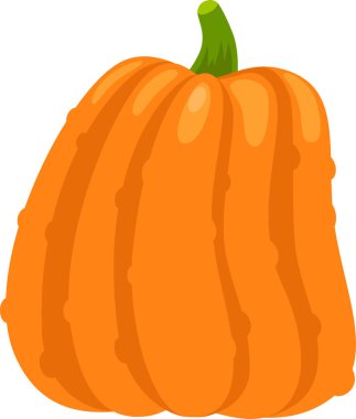 Fevkalade dikey oyukları ve sağlam yeşil sapı olan canlı turuncu balkabağı, sonbahar hasadı ruhunu ve şenlikli kutlamaları çağrıştırıyor.