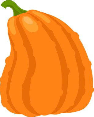 Segmentli loblar ve sağlam yeşil bir gövde içeren canlı balkabağı, Cadılar Bayramı ve Şükran Günü boyunca sonbahar hasatlarının ve şenlikli kutlamaların ruhunu yakalıyor.