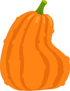 Canlı yeşil saplı taze toplanmış portakal kabağı, sebze bahçesinde gelişiyor, sonbahar hasadı ruhunu temsil ediyor ve cadılar bayramı kutlamalarının bayram ruhunu temsil ediyor.