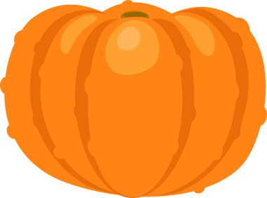 Geniş, olgun balkabağı, derin çıkıntıları ve canlı turuncu rengi var. Sonbahar süslemeleri, tarifleri ya da cadılar bayramı kutlamaları için mükemmel. Doğanın cömert dokunuşlarını sunuyor.