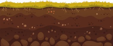 Kahverengi toprak katmanlarında yetişen yeşil çimenler, görünür kökler ve kayalar, tarım ve bahçıvanlık için mükemmel sağlıklı ve verimli bir alanı temsil ediyor.