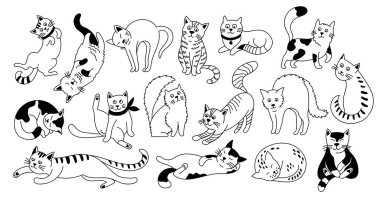 Şirin karalama kedileri. Farklı kedi pozları ve duyguları olan komik kedi yavrusu karakterleri, el çizimi çocuksu kedi figürleri. Yavru kediler izole edildi.