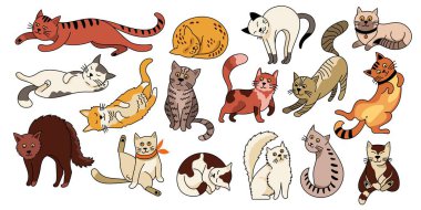 Sevimli evcil kedi. Farklı duygulara ve kedi pozlarına sahip komik kedi yavruları, çeşitli eylemlerdeki sevimli çizgi film karakterleri. Vektör renkli kediler ayarlandı.