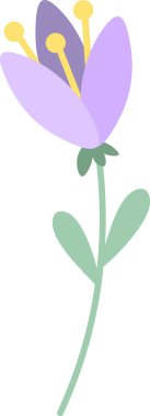 Saffron çiçeği canlı mor yapraklar ve çarpıcı sarı lekeler sergiliyor, ince yeşil bir gövde üzerinde narin yapraklarla zarif bir şekilde büyüyor, düz bir dizayn ile resmedilmiş.