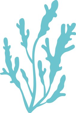 Açık mavi deniz yosunları beyaz bir arkaplan üzerinde gelişerek okyanus güzelliğini kutlayan deniz temalı tasarımlar ve projeler için mükemmel bir element oluştururlar.