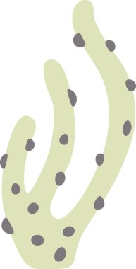 Açık yeşil dekoratif deniz yosunu. Suyun altında büyüyen koyu benekler. Deniz botanik çizimi.