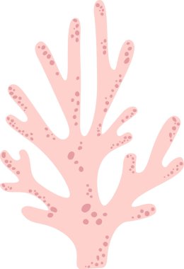 Pembe mercanlar okyanus altında gelişen küçük daireler, canlı deniz ekosistemine güzel ve narin bir dokunuş ekleyerek ve sualtı manzarasını güçlendirir.