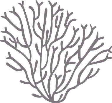 Stilize edilmiş gri mercan, çeşitli dallanma biçimlerine sahiptir, temiz beyaz bir arkaplana karşı gelişir, deniz temalı tasarımları geliştirmek için mükemmeldir ya da zarif bir dekoratif element olarak hizmet verir