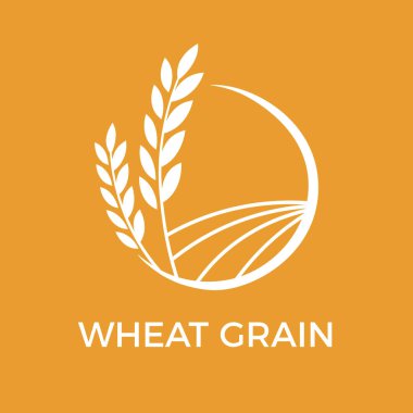 Beyaz buğday taneleri, turuncu arka planda beyaz bir çemberin içinde büyüyen tarımın ve gıda üretiminin özünü temsil eder.