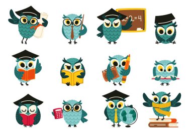 Bilge baykuş karakteri. Kitapları ve okul aksesuarları olan komik tüylü baykuş öğrencilerinin eğitim kavramını öğrendiği sevimli çizgi film kuşları. Vektör kuş kümesi.