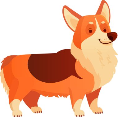 Galli Corgi gururla dururken neşeli bir yüz ifadesi sergiliyor, her yerde köpek severlerin kalbini yakalayan büyüleyici ve neşeli bir kişiliğin vücut bulmuş hali.