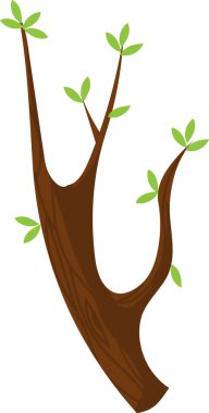 Bahar mevsiminde yeni yeşil yapraklar yetiştiren kahverengi ağaç dalı, yeniden doğuş ve yeni hayat kavramı, beyaz arka planda basit bir karikatür çizimi
