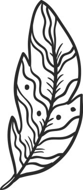 Dalgalı çizgileri ve noktaları olan tek tüy, hafifliği, yumuşaklığı ve narin detayları vurgulayan el çizimi illüstrasyon, çeşitli tasarım amaçları için uygun.