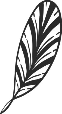 Siyah ve beyaz çizgili el çizimi tüy güzel bir desen yaratıyor, doğa için mükemmel tasarımlar, çizimler ve yaratıcı projeler.